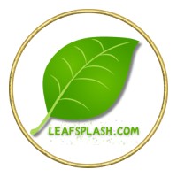 Leafsplash PNG logo - Similar company to Kumul Genius