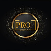 PRO SOCKS logo - Similar company to Prosocks
