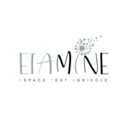ETAMINE logo - Similar company to Ips Conseil