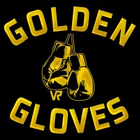 Golden Gloves VR logo - Similar company to Virtual Engine