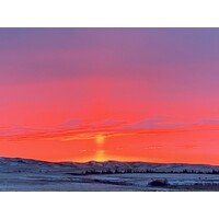 Rosewill Conservation Inc. 501c3 logo - Similar company to Commstar Space Communications