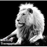 StarKing Transportation logo - Similar company to Xpertfreight