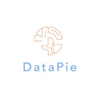 DataPie logo - Similar company to Datapie.Tech
