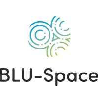 BLU-Space logo - Similar company to Drone Flight & Navigation System Ltd.