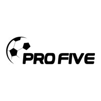 Profive academy logo - Similar company to Profive Academy