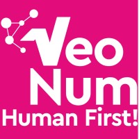VeoNum logo - Similar company to Witty
