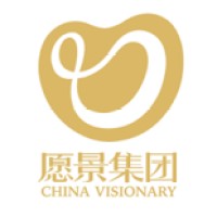 China Visionary Group logo - Similar company to Buckingham International School Of Education