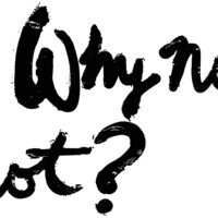 Why Not? logo - Similar company to Why Not Consulting
