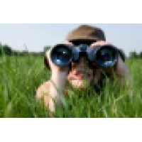 Jungle HR Ltd
