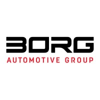 BORG Automotive Group logo - Similar company to Sylan® As