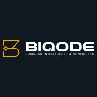 Biqode Analytics Inc. logo - Similar company to Mybasiccrm.Com