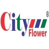 City Flower Retail, Saudi Arabia