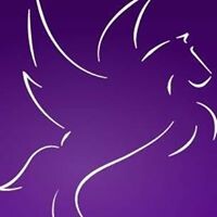 Pegasus Search & Selection logo - Similar company to Promtech