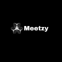 meetzynetwork logo - Similar company to Listinglogic