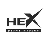 Hex Global Pty Ltd logo - Similar company to Boyer Group Au