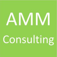 Amm Consulting, Llc