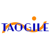 Taogile logo - Similar company to Clevels