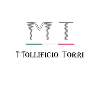 MOLLIFICIO TORRI s.n.c. logo - Similar company to Mollificio Mb