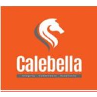 Calebella Integritas Project Limited logo - Similar company to Owppin Ltd