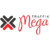 MegaTraffik - Leading Political Campaign Management & Digital Marketing Agency in India logo - Similar company to Think Tech Solution