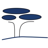 Acacia Impact Innovation BV