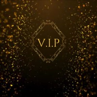 The VIP Network logo - Similar company to Purely Talented
