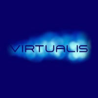 Virtualis logo - Similar company to Technative Digital