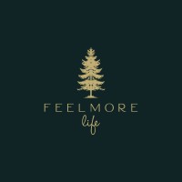 Feelmore logo - Similar company to Box2Build B.V.