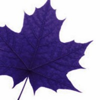 Schlegel Centre For Entrepreneurship And Social Innovation
