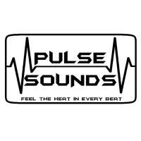 Pulse Sounds logo - Similar company to Picsure