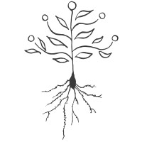 Springtail AI logo - Similar company to Springtail