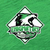 Enigmatiks - BDE NEOMA BS Reims - 2019/2020 logo - Similar company to Neonix : Bde G-Bba Neoma Business School Reims