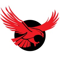 Skyhawk logo - Similar company to Iviis™ Limited