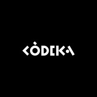 CODEKA - SOLUZIONI SOFTWARE PERSONALIZZATE logo - Similar company to Write System S.R.L.