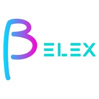Belex Stores logo - Similar company to Qet Systems