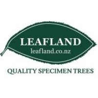 Leafland - Quality Specimen Trees logo - Similar company to Black Bridge Nurseries