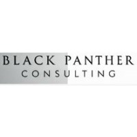 BlackPanther Consulting logo - Similar company to Infonyx Solutions