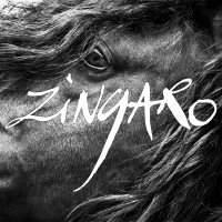 Théâtre Équestre Zingaro logo - Similar company to Comité Équestre De Saumur