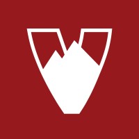 Velosolutions Global logo - Similar company to Velo Solutions