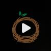 Shownex logo - Similar company to Steam Platform