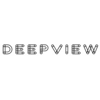 Deep View logo - Similar company to Deepview
