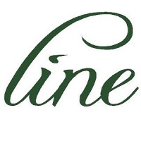 LINE Consulting - Singapore logo - Similar company to Befinity Ai