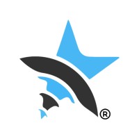 Websoftstar Infosystems LLP logo - Similar company to Amity Edge Solutions