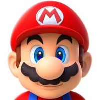 Super Mario logo - Similar company to Dells Veterinary Services