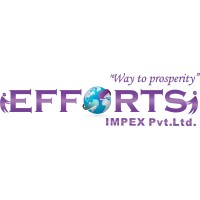 EFFORTS IMPEX PRIVATE LIMITED logo - Similar company to Varitas It Pvt Ltd