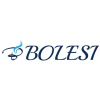 BOLESI Hair Care logo - Similar company to Blossum Group