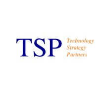 Technology Strategy Partners logo - Similar company to Squareshark