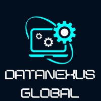DataNexusGlobal logo - Similar company to Quantmomo