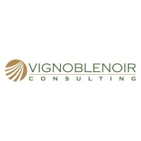 Vignoblenoir Consulting GmbH logo - Similar company to Wp Management Solutions Gmbh