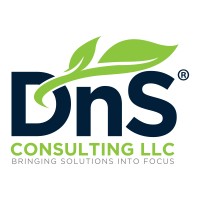 DnS Consulting LLC logo - Similar company to Dns Solutions Llc
